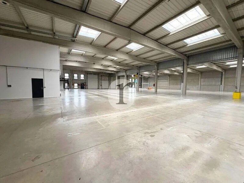 Flex in Saint-André-lez-Lille for lease Building Photo- Image 1 of 9