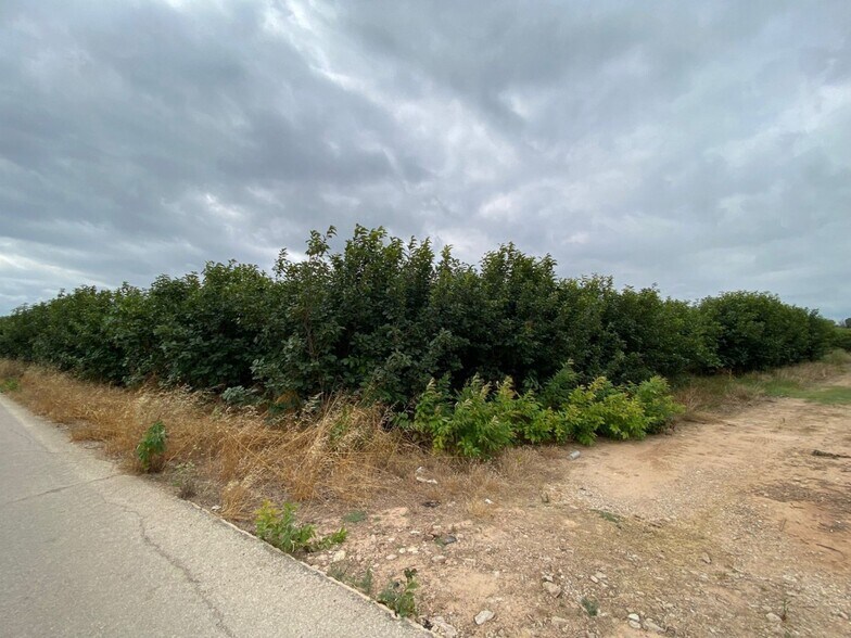 Albalat, Carlet, Alrededores, Carlet, Valencia for sale - Building Photo - Image 3 of 7