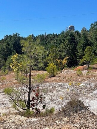 More details for 0000 Veterans Drive & 22 North, Huntingdon, TN - Land for Sale