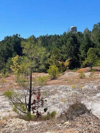 Plus de détails pour 0000 Veterans Drive & 22 North, Huntingdon, TN - Terrain à vendre