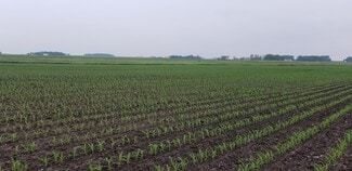 More details for 0 330th Ave 0 330th Ave, Westbrook, MN - Land for Sale