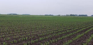 Plus de détails pour 0 330th Ave 0 330th Ave, Westbrook, MN - Terrain à vendre