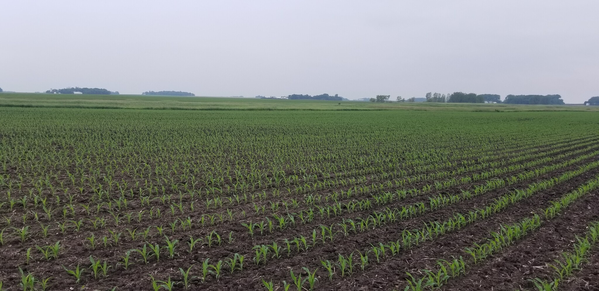 0 330th Ave 0 330th Ave, Westbrook, MN à vendre Autre- Image 1 de 4