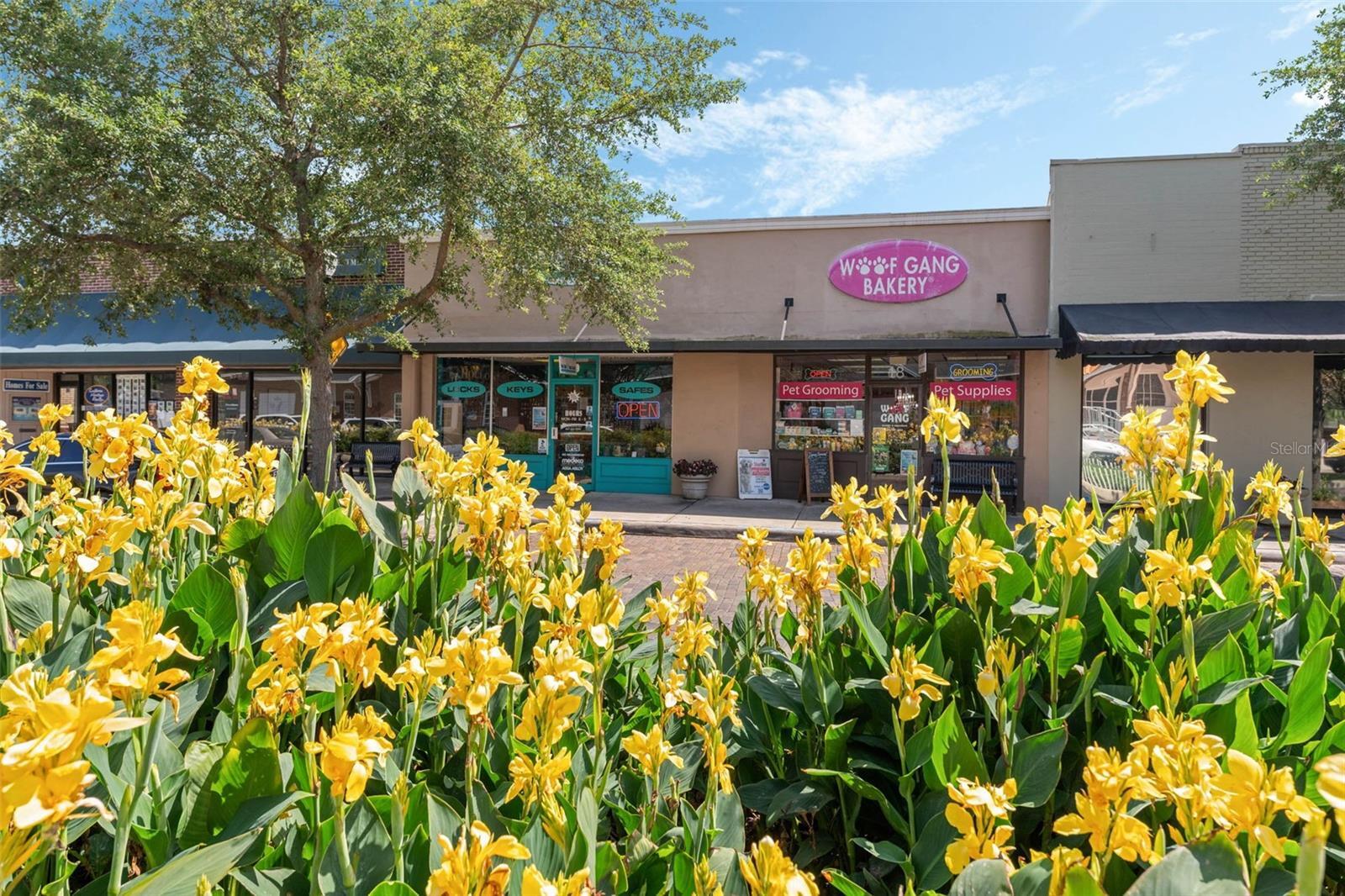 18-20 E Plant St, Winter Garden, FL for sale Building Photo- Image 1 of 42