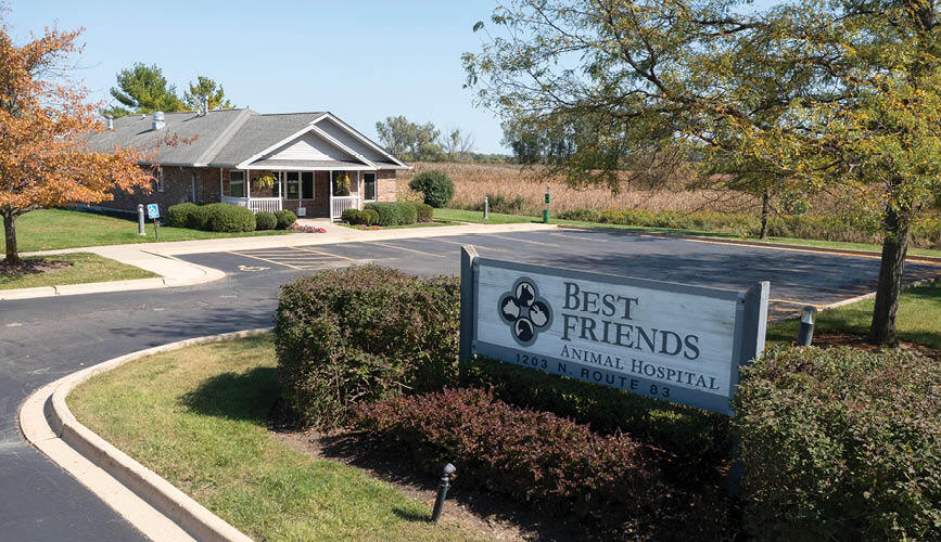 1203 N Il Route 83, Grayslake, IL à vendre - Photo du bâtiment - Image 2 de 2