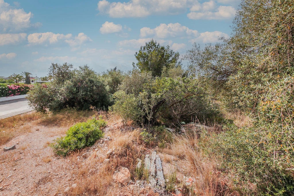 Land in Alcanar, Tarragona for sale Primary Photo- Image 1 of 12