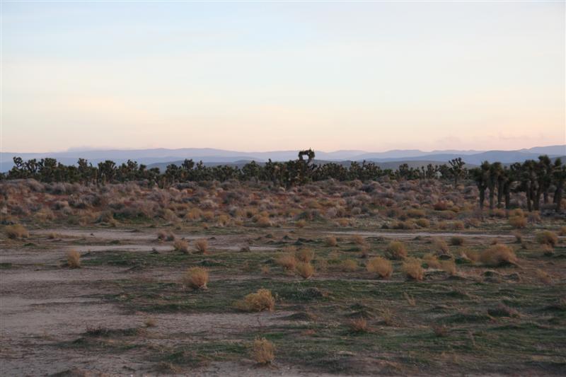 16000 W Avenue B, Lancaster, CA à vendre Photo du bâtiment- Image 1 de 5