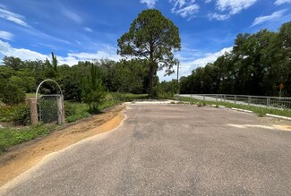 Plus de détails pour 101 Hickory Ln, Interlachen, FL - Terrain à vendre