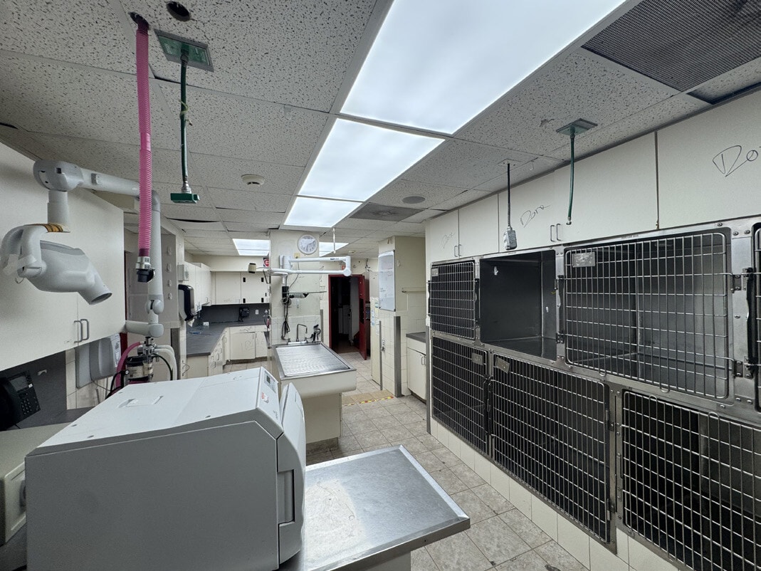 262 Main St, Madison, NJ for lease Interior Photo- Image 1 of 4