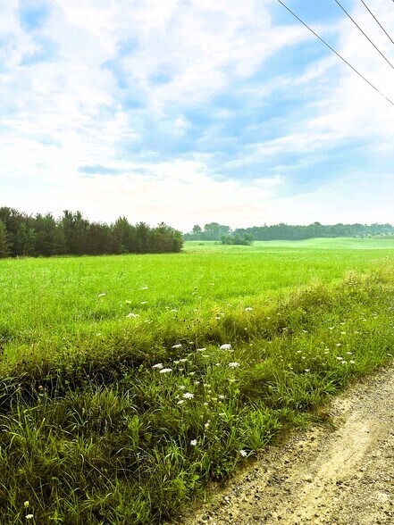 0 W Ellsworth Rd, Chelsea, MI à vendre - Photo du bâtiment - Image 2 de 9