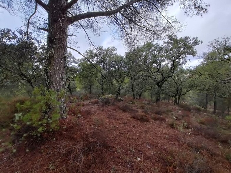 Land in Córdoba, Córdoba for sale - Building Photo - Image 2 of 6