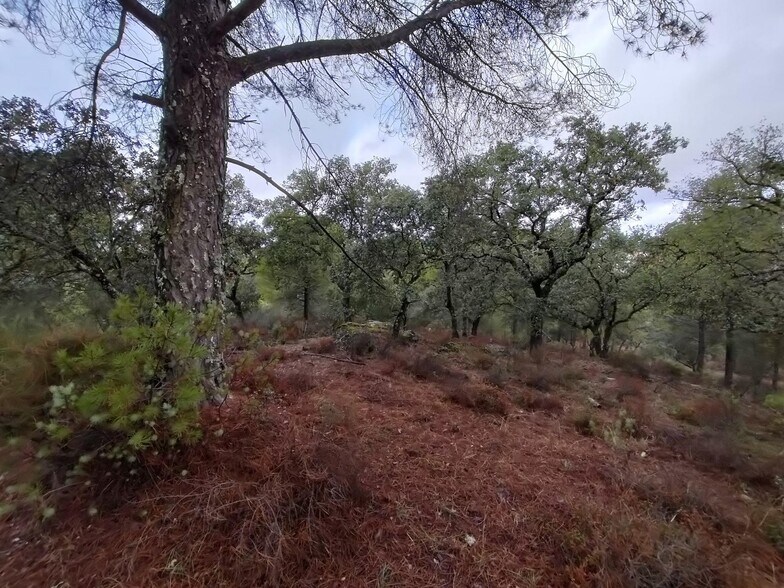 Land in Córdoba, Córdoba for sale - Building Photo - Image 2 of 6
