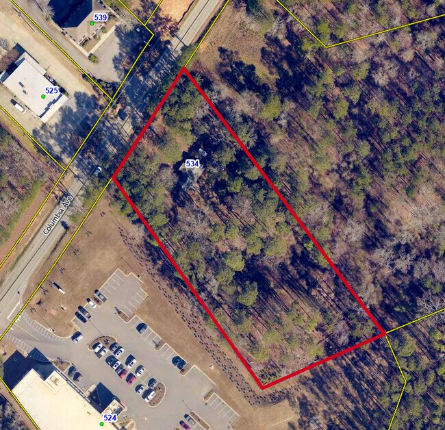 Plus de détails pour 534 Columbia Ave, Chapin, SC - Terrain à vendre