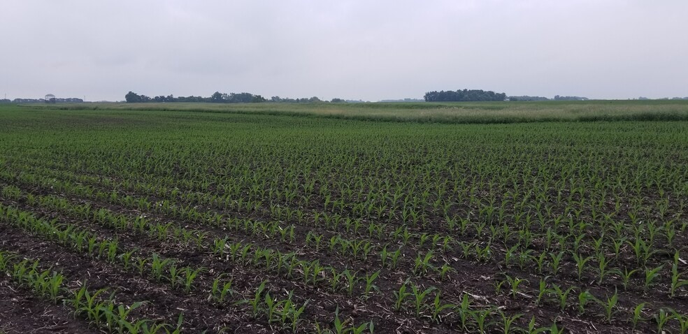 0 330th Ave 0 330th Ave, Westbrook, MN à vendre - Autre - Image 3 de 3