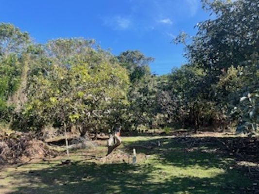 77-6316 Mamalahoa Hwy, Holualoa, HI à vendre - Photo du bâtiment - Image 3 de 6