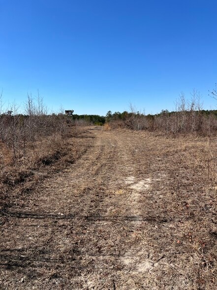 TBD South Carolina 38 Hwy, Bennettsville, SC for sale - Building Photo - Image 2 of 5