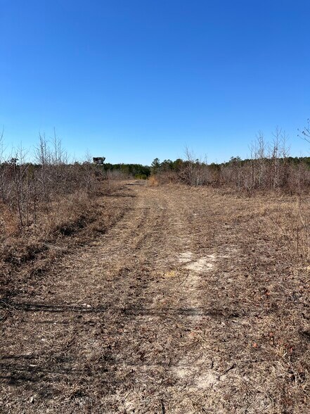 TBD South Carolina 38 Hwy, Bennettsville, SC à vendre - Photo du bâtiment - Image 2 de 5