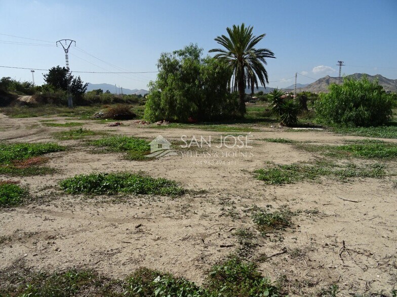 Land in Aspe, Alicante for sale - Primary Photo - Image 3 of 7
