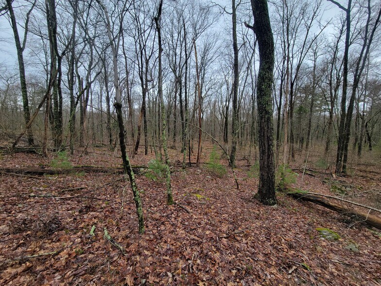 Pennsylvania 739, Dingmans Ferry, PA à vendre - Photo principale - Image 1 de 6