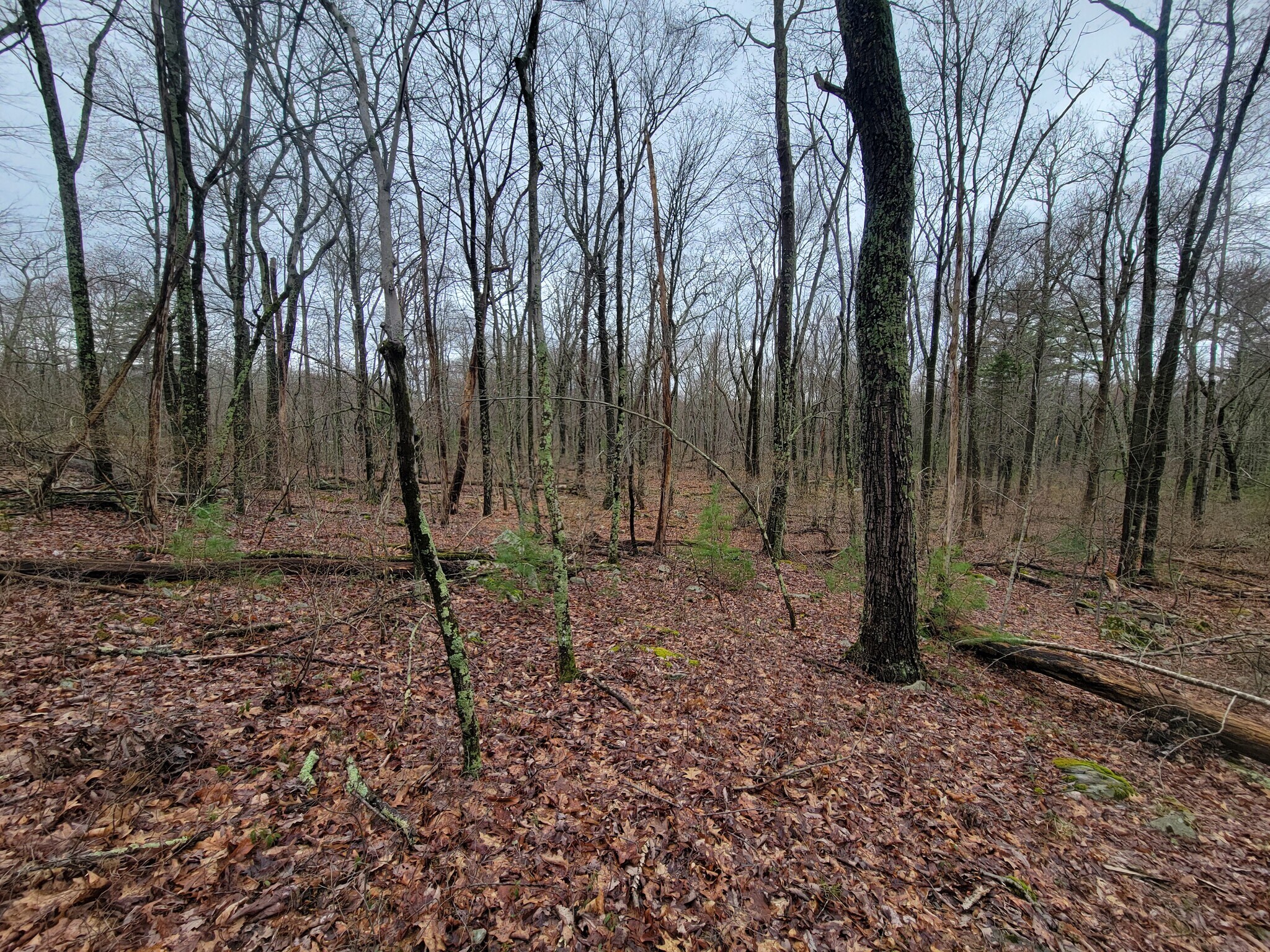 Pennsylvania 739, Dingmans Ferry, PA à vendre Photo principale- Image 1 de 7