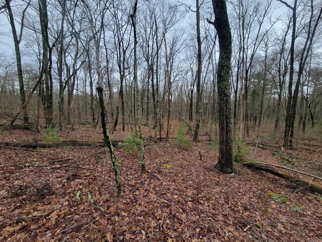 Plus de détails pour Pennsylvania 739, Dingmans Ferry, PA - Terrain à vendre