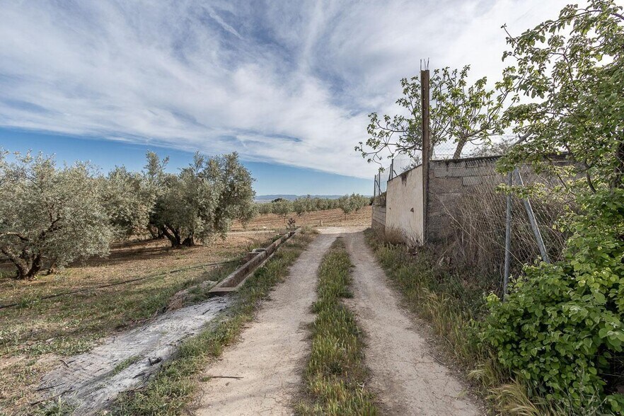 Pago de, Albolote, Granada à vendre - Plan de site - Image 3 de 12