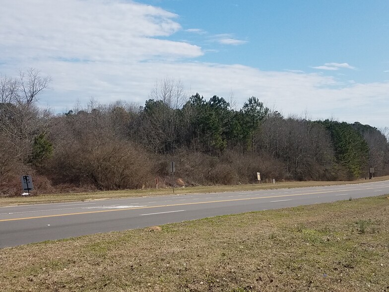 Hwy 31 South, Clanton, AL for sale - Other - Image 1 of 4