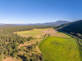 More details for 000 299 hwy, Burney, CA - Land for Sale