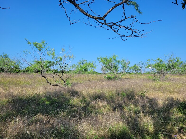 Parker Hill Rd, Palmer, TX à vendre - Photo du b timent - Image 3 de 12