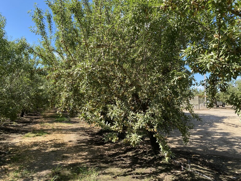 28136 Lemon Ave, Escalon, CA for sale - Other - Image 3 of 7