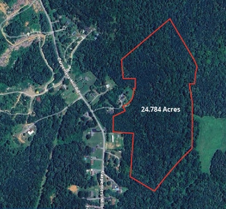 Plus de détails pour 1245 Carpenters Mill Rd, Ruckersville, VA - Terrain à vendre