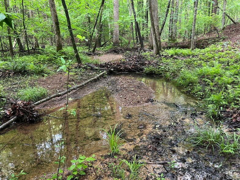 395 Able rd, Waleska, GA for sale - Building Photo - Image 2 of 43