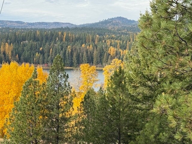 TBD Loch Mira Heights Road, Cocolalla, ID à vendre Aérien- Image 1 de 6