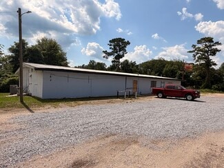 More details for 1095 US Highway 231, Brundidge, AL - Retail for Sale