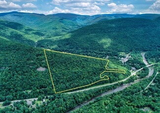More details for TBD NY-28, Phoenicia, NY - Land for Sale