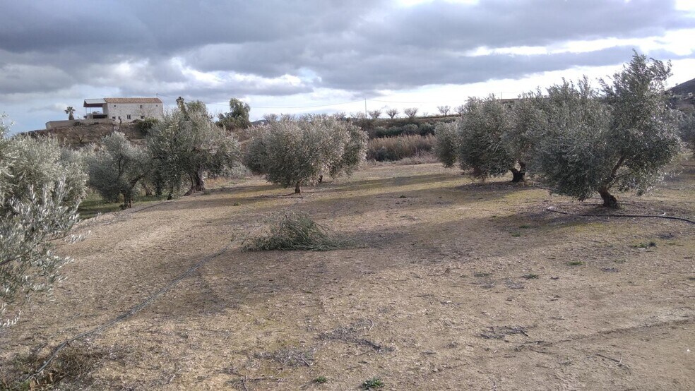Land in Calasparra, Murcia for sale - Building Photo - Image 2 of 26