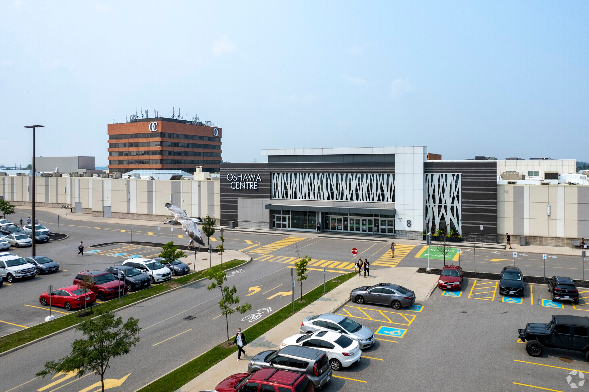 419 King St W, Oshawa, ON for sale Primary Photo- Image 1 of 1