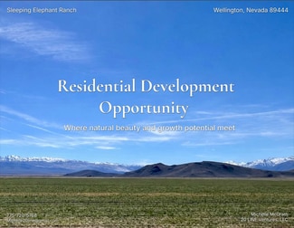 More details for 0 US Highway 208, Wellington, NV - Land for Sale