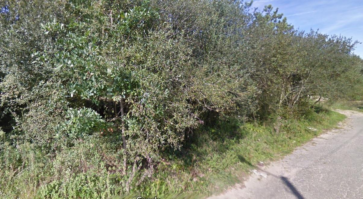 Terrain dans O Porriño, Pontevedra à vendre Plan de site- Image 1 de 10