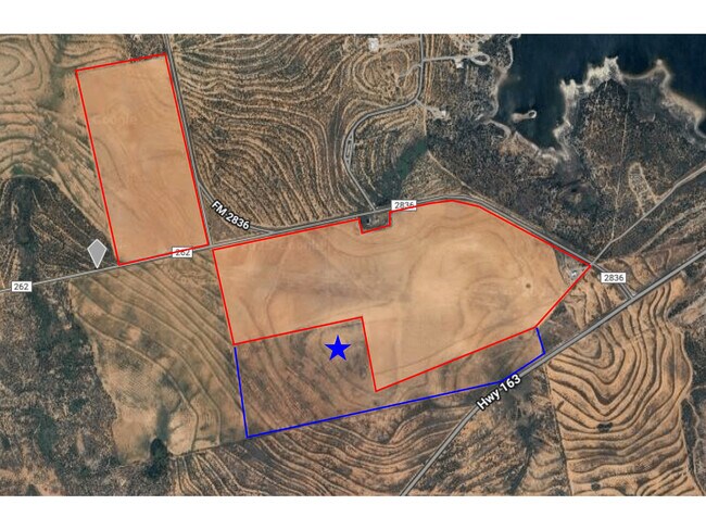 More details for Hwy 163 Parcel #14443, Colorado City, TX - Land for Sale