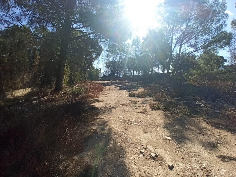 Land in Alberic, Valencia for sale - Primary Photo - Image 2 of 6