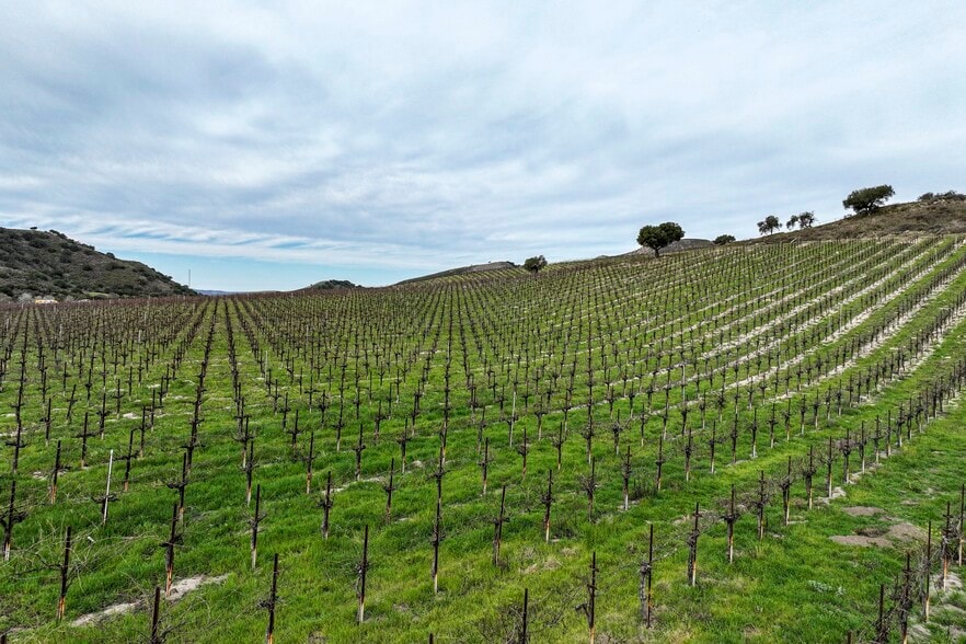 7903 Cat Canyon rd, Los Alamos, CA à vendre - Photo du bâtiment - Image 3 de 24