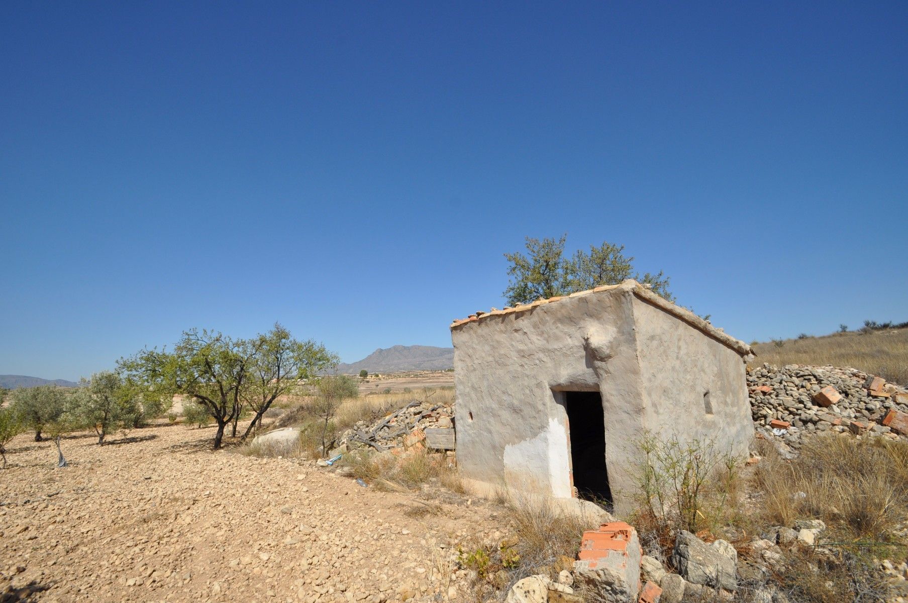 Terrain dans Jumilla, Murcia à vendre Photo principale- Image 1 de 14