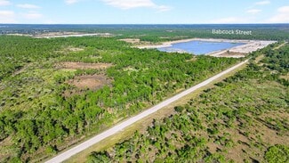More details for 9500 Babcock St W, Palm Bay, FL - Land for Sale