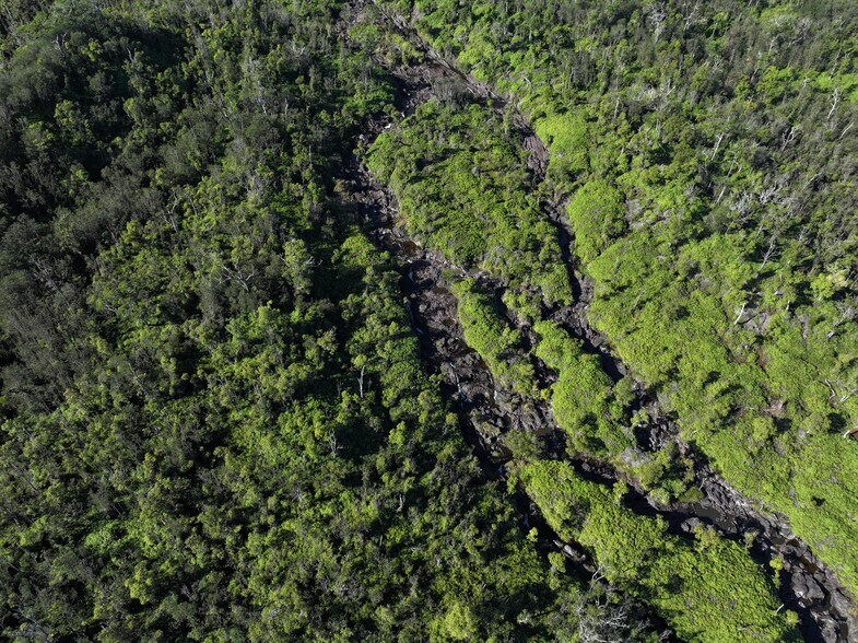 29-773 Chin Chuck Rd, Hakalau, HI à vendre - Photo du bâtiment - Image 2 de 4