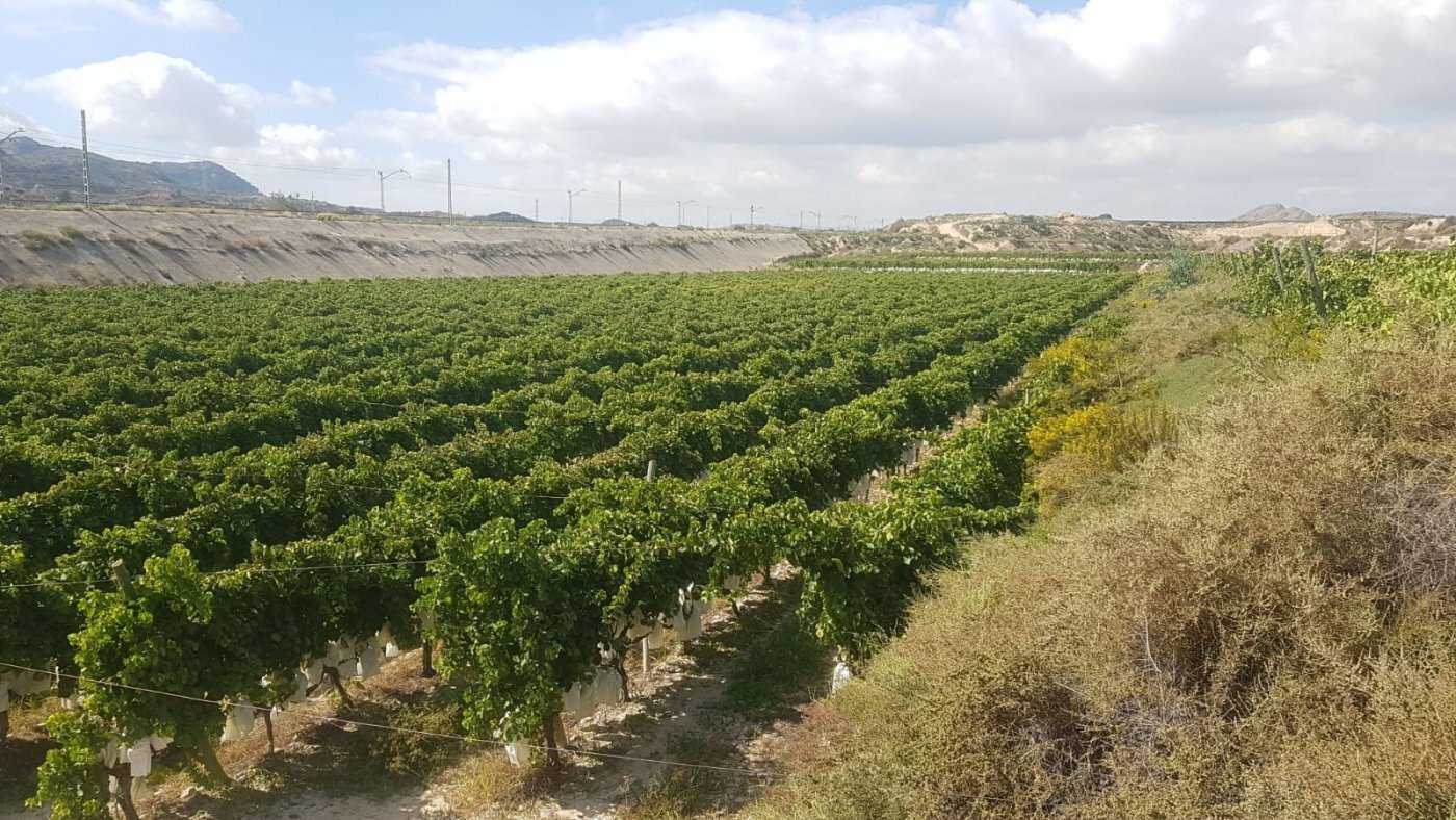 Land in Agost, Alicante for sale Aerial- Image 1 of 10