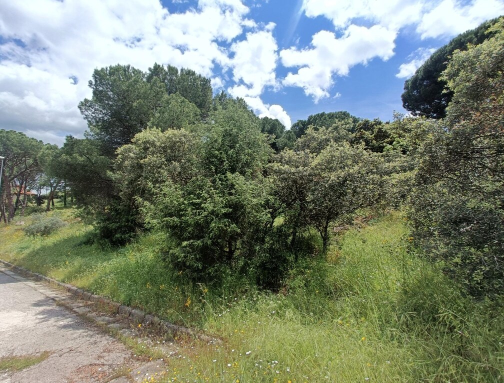 Land in San Martín de Valdeiglesias, Madrid for sale Primary Photo- Image 1 of 2