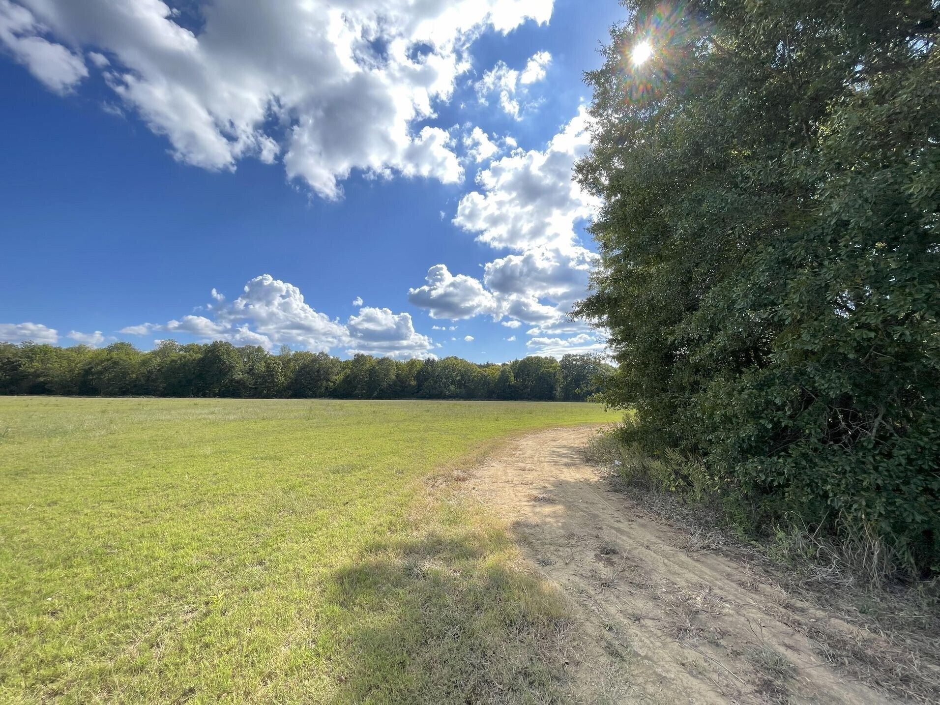 County 21 & Bell Grayson Road hwy, Demopolis, AL à vendre Photo principale- Image 1 de 14