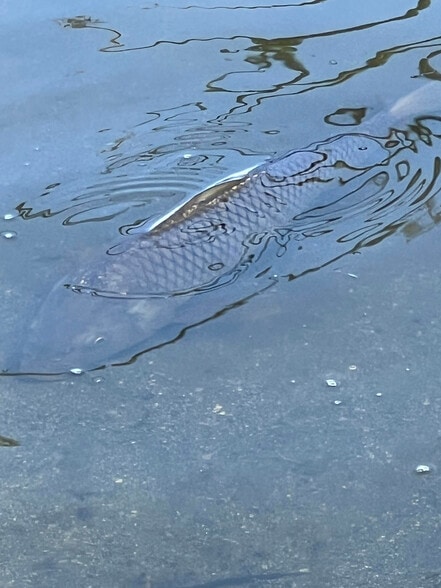 17786 Grand Ave, Lake Elsinore, CA for sale - Building Photo - Image 2 of 16