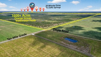 More details for 8476 Ten Mile Grade, Zolfo Springs, FL - Land for Sale